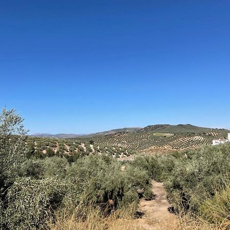 Lafrenchtouch - Escapada Rural En Una Coqueta Casa Villanueva de Tapia Buitenkant foto