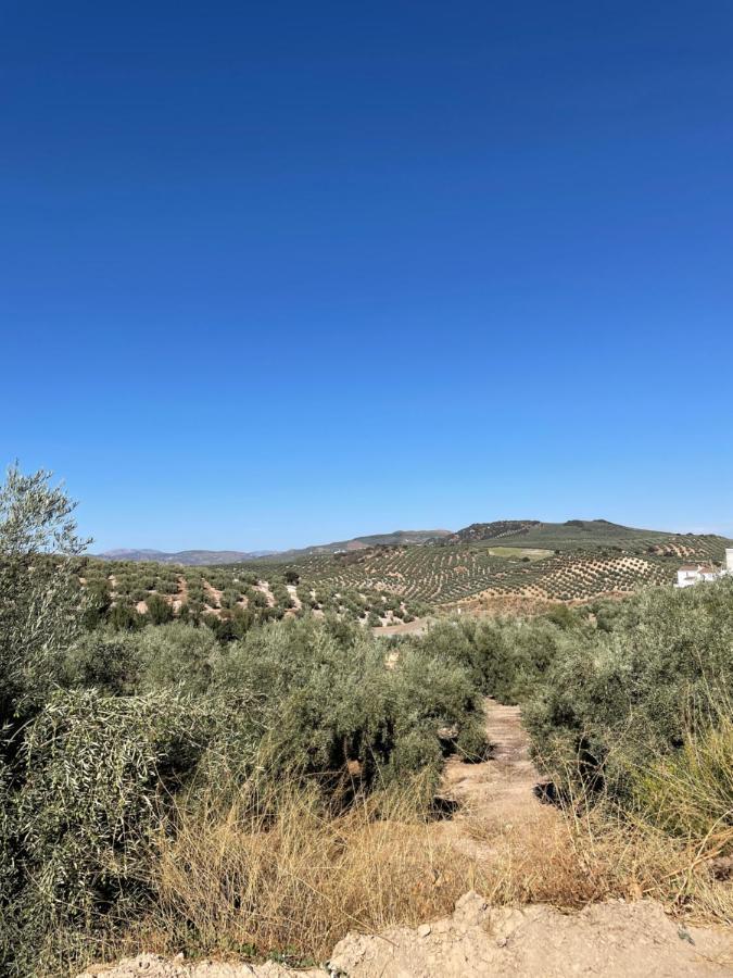 Lafrenchtouch - Escapada Rural En Una Coqueta Casa Villanueva de Tapia Buitenkant foto